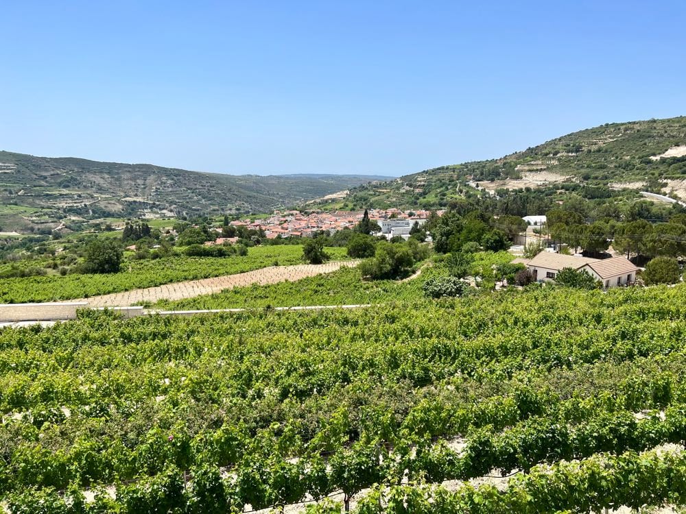 Ktima Vassiliades winery cyprus