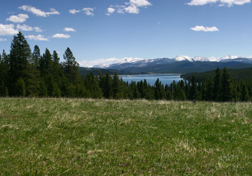 Georgetown Lake and the snow-capped Pintler Mountains as seen from a high meadow.