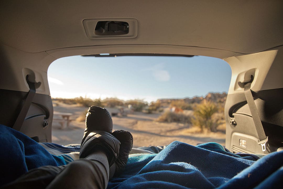 Jumbo Rocks Campground