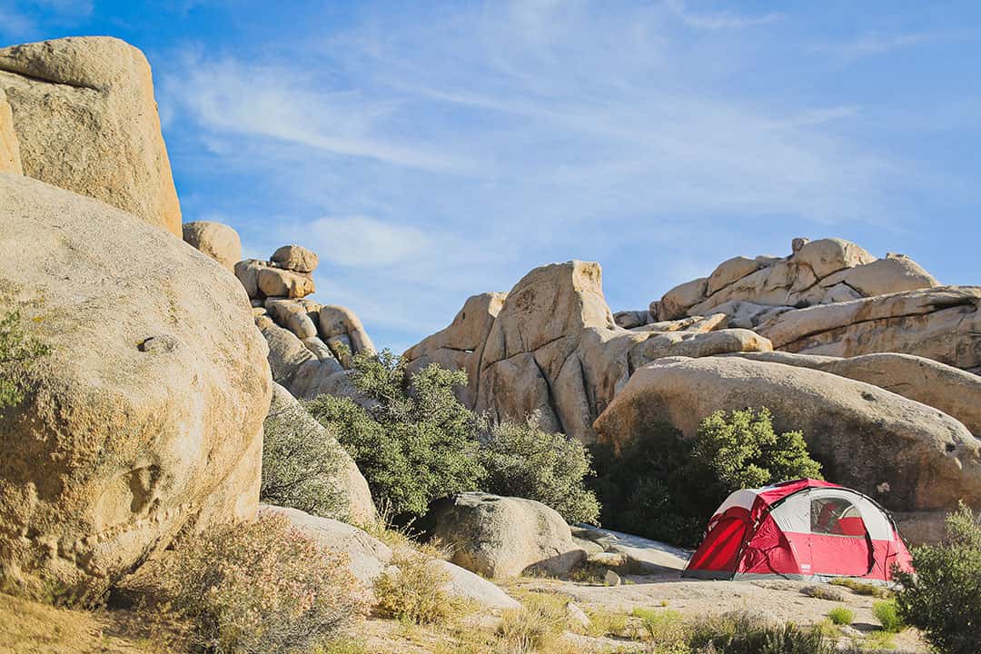 Joshua Tree Campgrounds