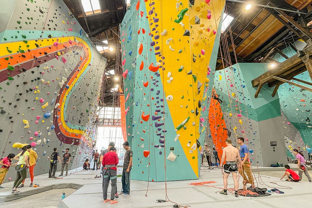 benchmark climbing gym