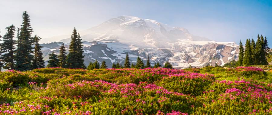 Mount Rainier National Park