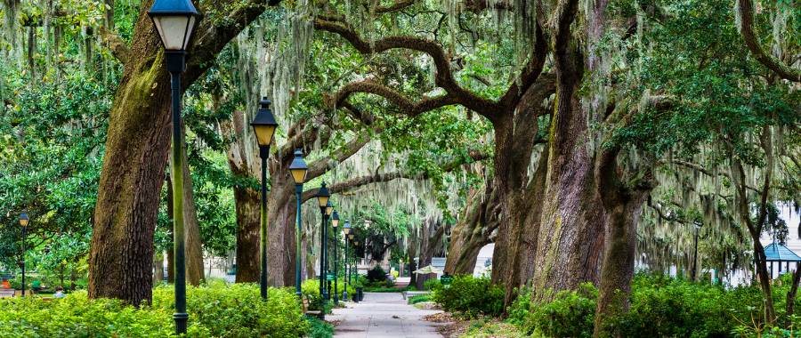 Forsyth Park in Savannah, GA