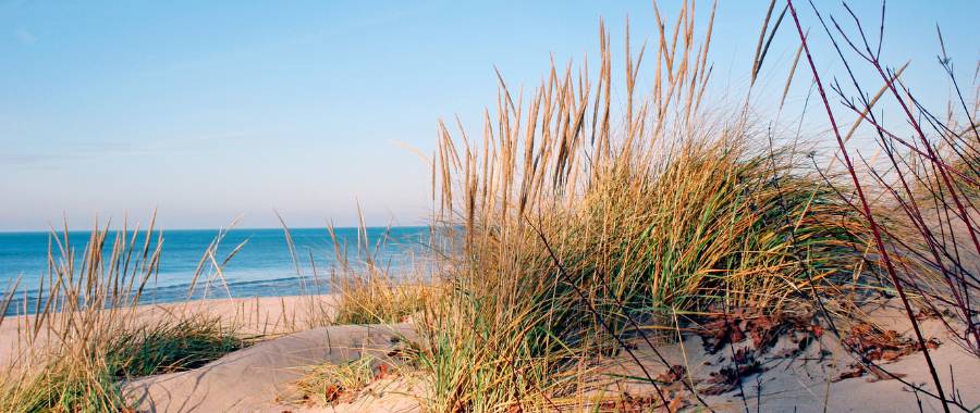 Lake Michigan Shoreline, MI