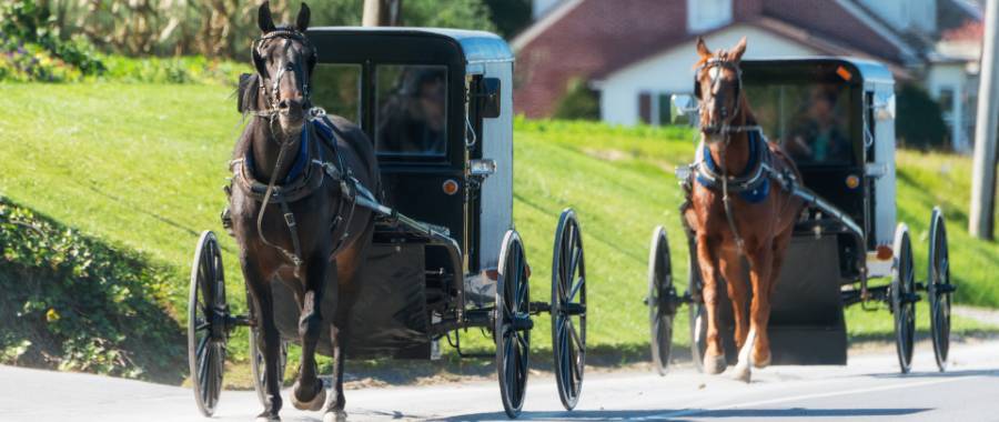 Ohio Amish Country, OH horse and buggy on the road in town