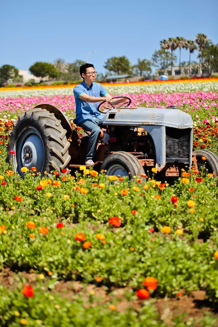 It's Ranunculus Season at the Carlsbad Flower Fields. See them before they’re gone! // localadventurer.com