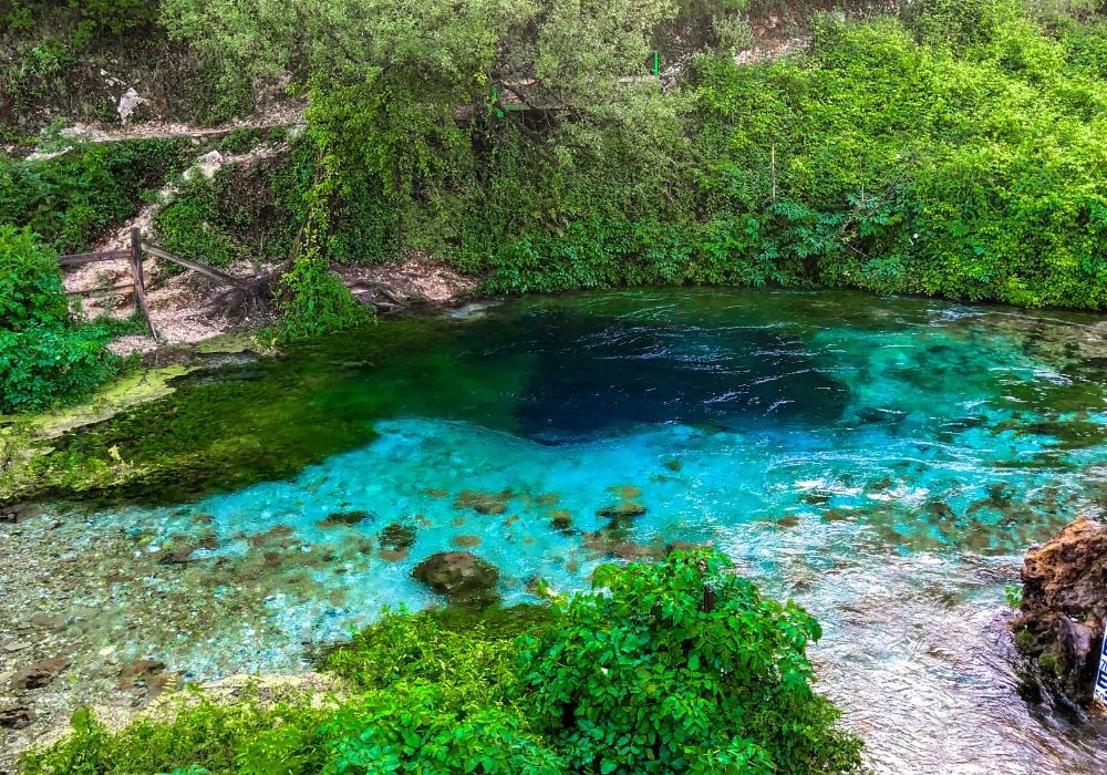 A beautiful freshwater spring surrounded by lush greenery