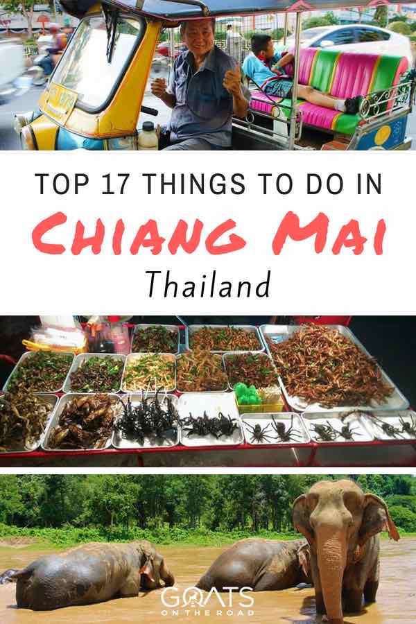 Popular tourist attractions in Thailand with text overlay things to do in Chiang Mai