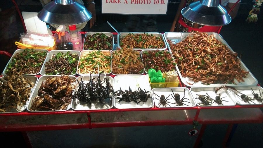Roasted insects for sale at a market stall in Chiang Mai