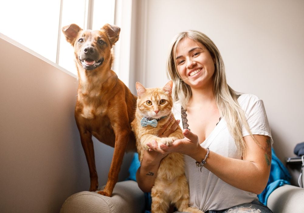 pros and cons of being a pet sitter