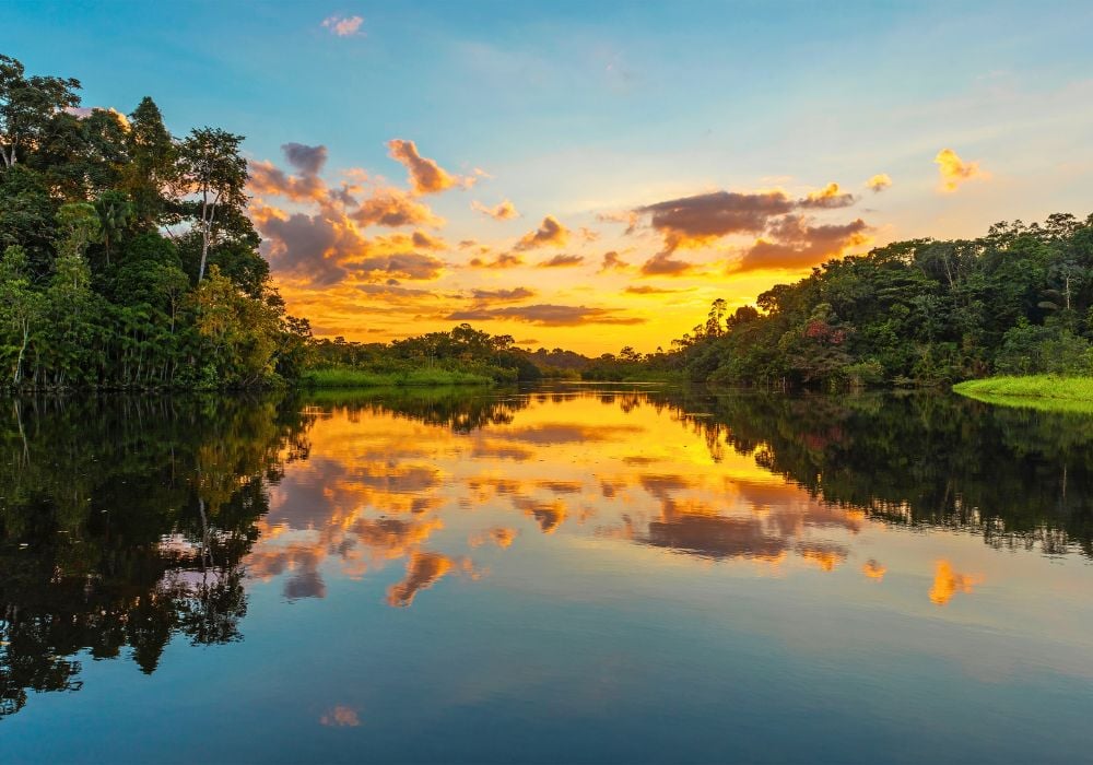 Panorama of a sunset in the Amazon rainforest.