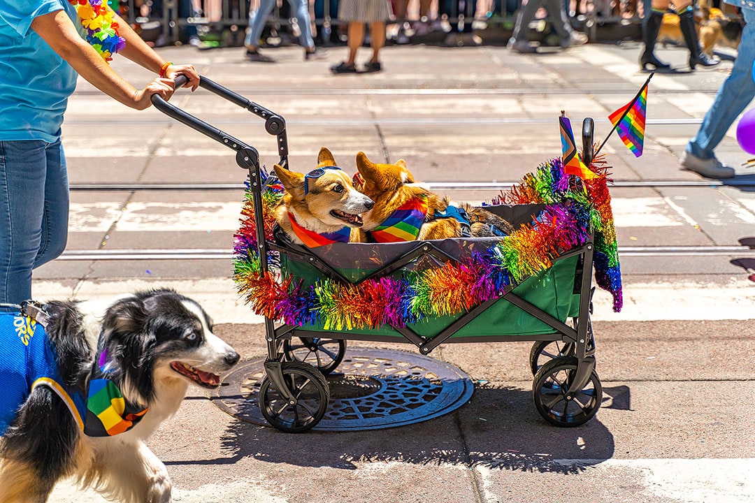 pride san francisco parade