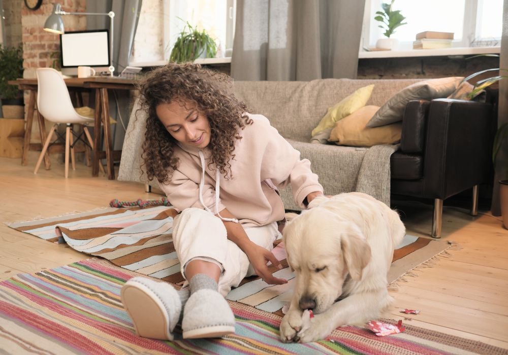 Young happy woman sitting on the floor and playing with her pet in the room