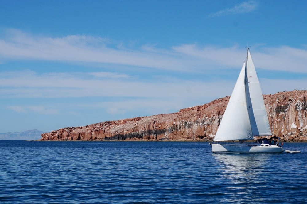 Wondering about things to do in La Paz? Sail to Espiritu Santo Island!