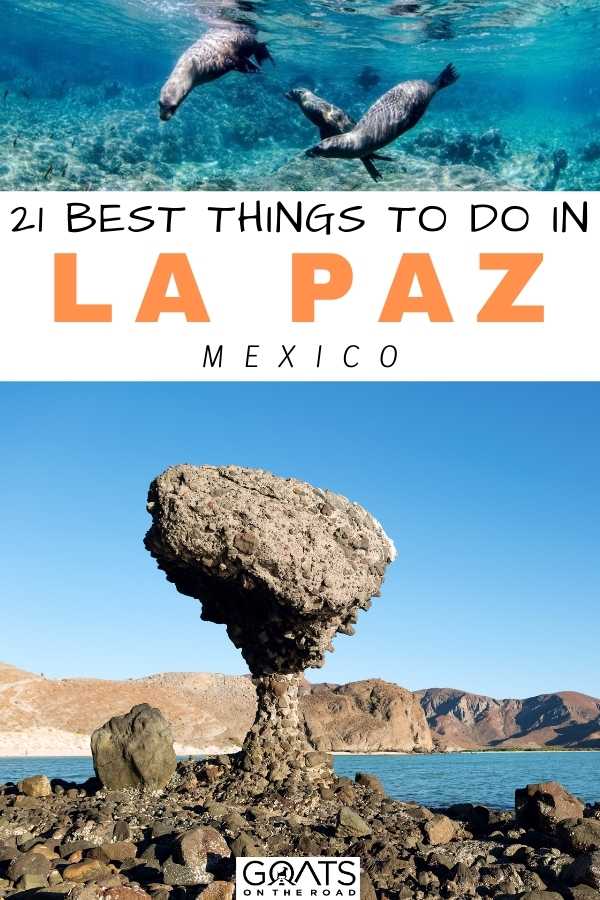 “21 Best Things To Do in La Paz, Mexico