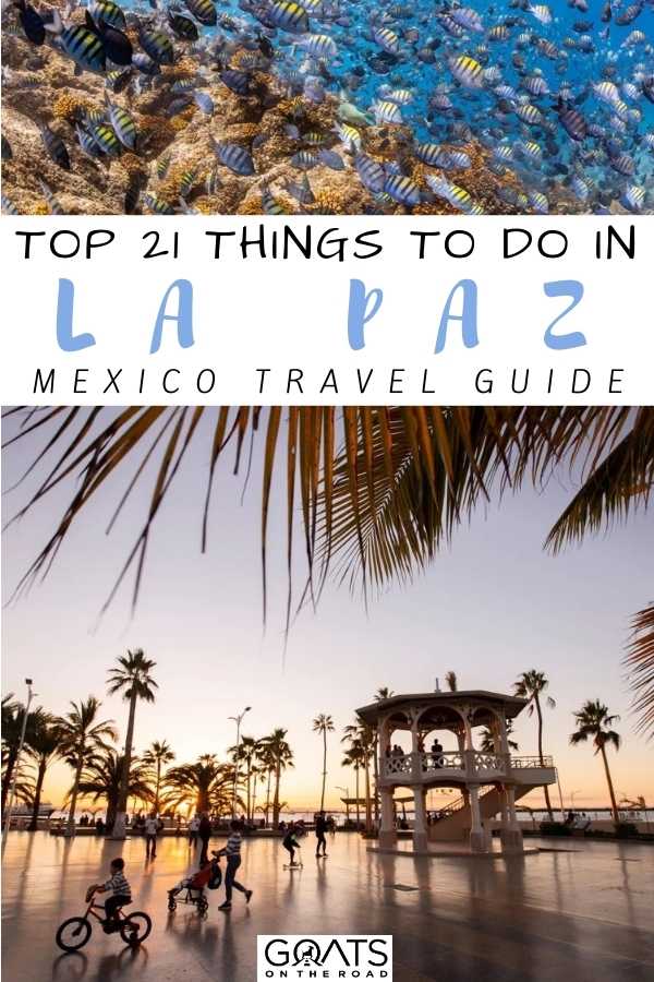 “Top 21 Things To Do in La Paz, Mexico