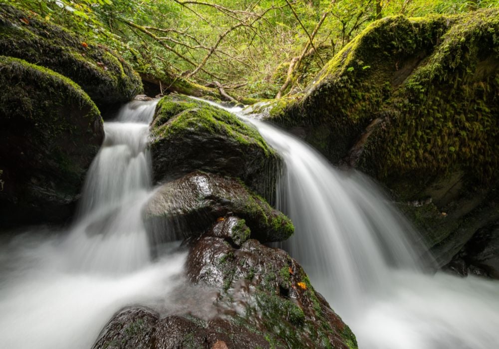 Watersmeet in Exmoor national park in England