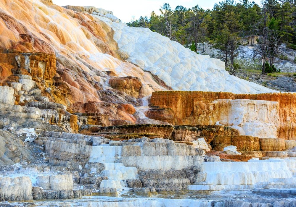 Travertine terraces in Mammoth Hot Springs in Yellowstone National Park, USA.