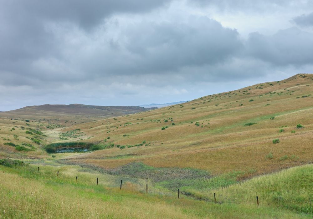 Wide open spaces on a Billings scavenger hunt
