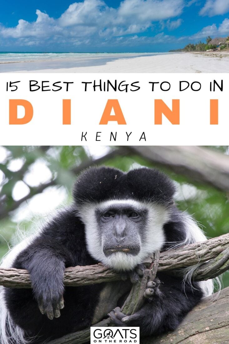 Did you know there is more to do in Kenya than safaris? Check out our guide to the top things to do in Diani! From one of the most pristine beaches on earth, to diving with whale sharks, there is a lot to offer here! Discover all the best things to do in Diani with these travel tips, including where to stay and eat, how to get there, and more! | #travel #diani #beach