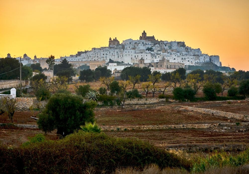 Cityscape of Ostuni white town skyline at sunset with olive trees in the foreground during an orange-glowing sunset