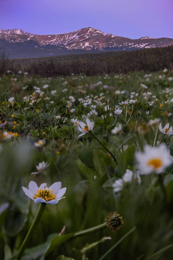 shrine ridge trail