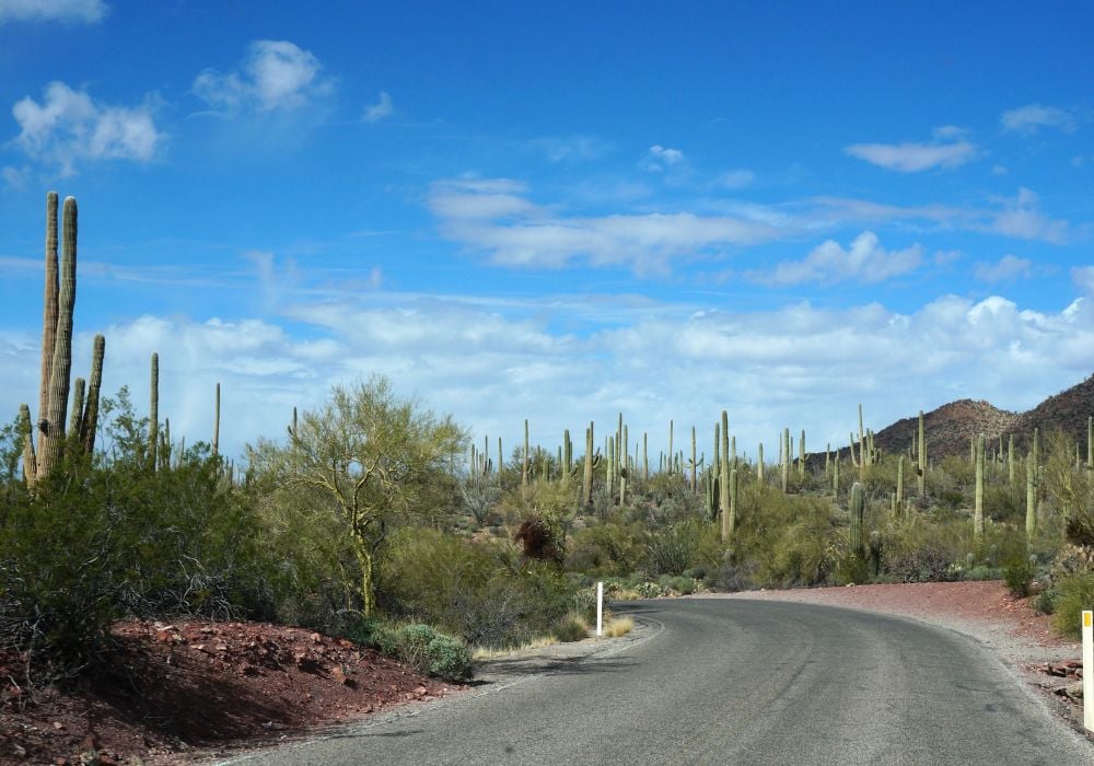 Arizona Sonora Desert Museum