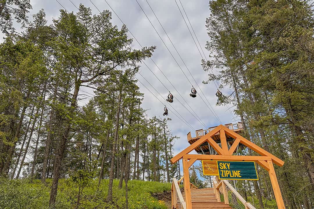 golden skybridge zipline