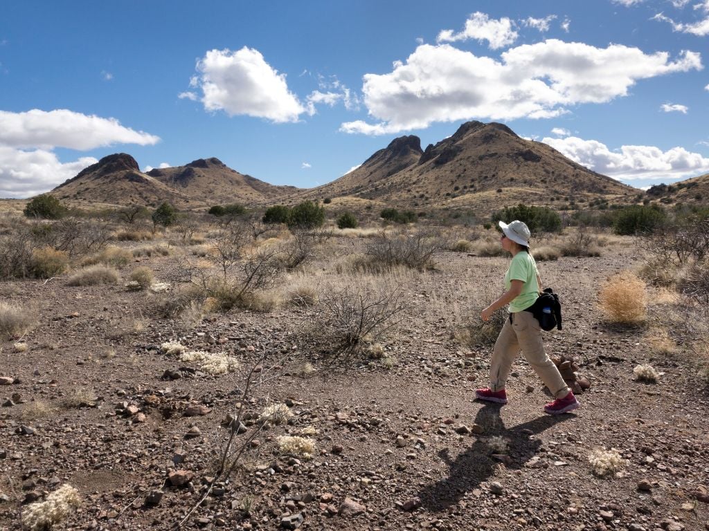 woman hiking in the sonoran desert outside of old town scottsdale