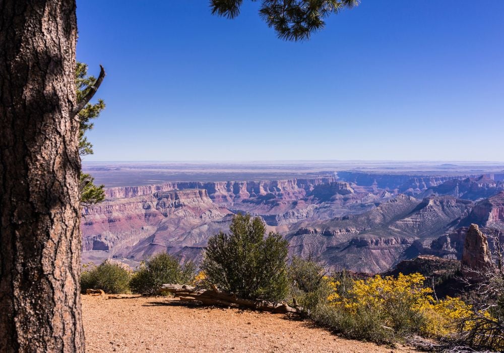 point imperial viewpoint grand canyon