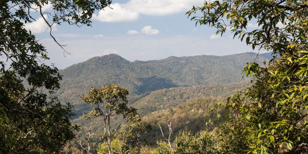 Forests and hills of Lum Nam Kok National Park