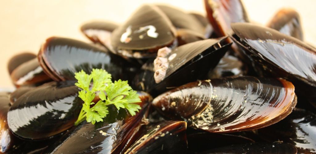 Rope mussels Seafood with a bit of a leafy vegtable.