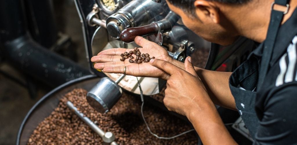 A barista checking coffee beads