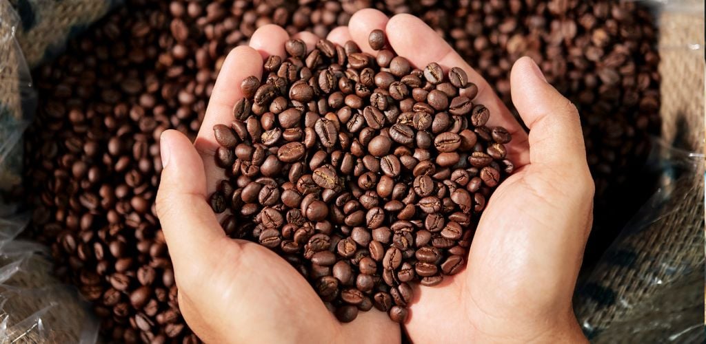 A handful of coffee bean being grabbed 