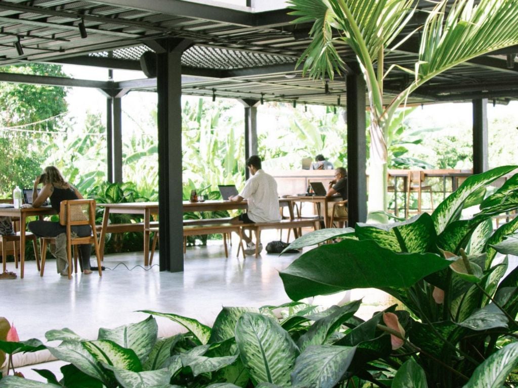 tribal coworking space bali