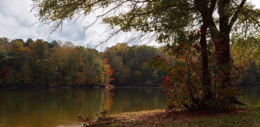 Falls Lake in North Carolina in early autumn