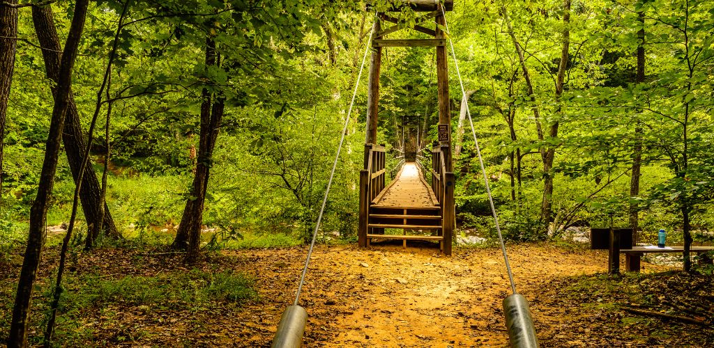 Hanging bridge at Eno River State Park