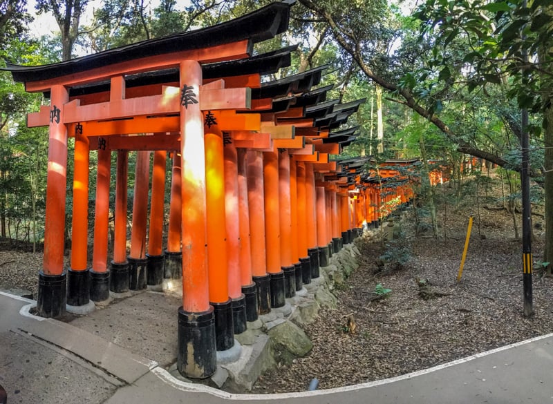 the fushimi inari tori gates in kyoto
