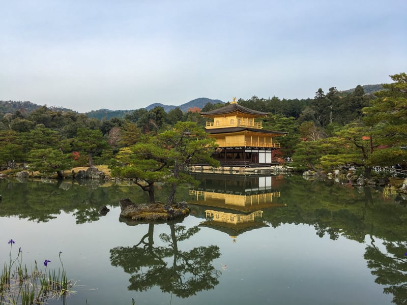 the golden pavillion in kyoto, an easy trip from osaka