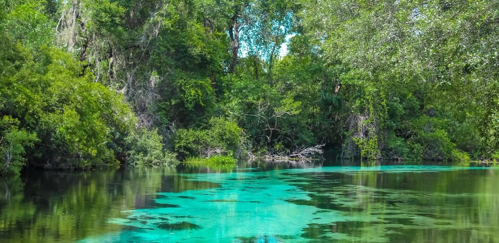 Weeki Wachee Spring State Park with blues and green