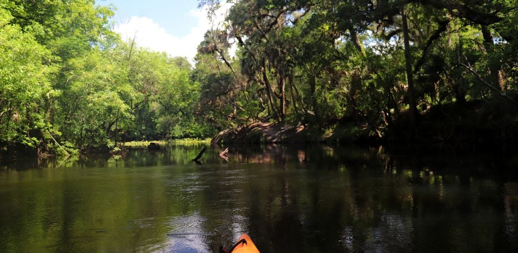 A photo of Hillsborough River State Park 