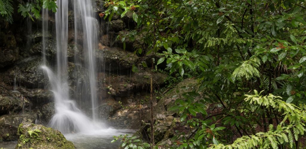 Rainbow Spring Falls - Highly Recommended as a Day Trip From Tampa