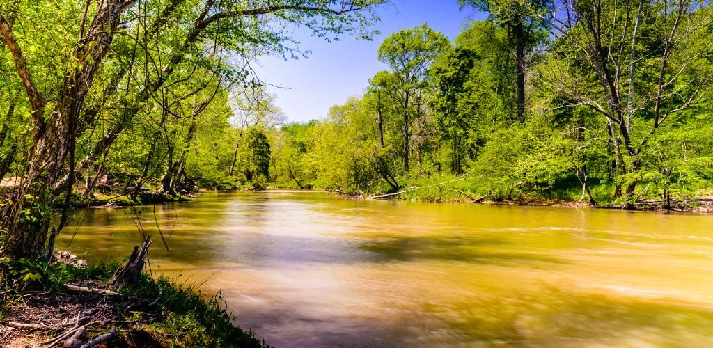 eno river park in durham