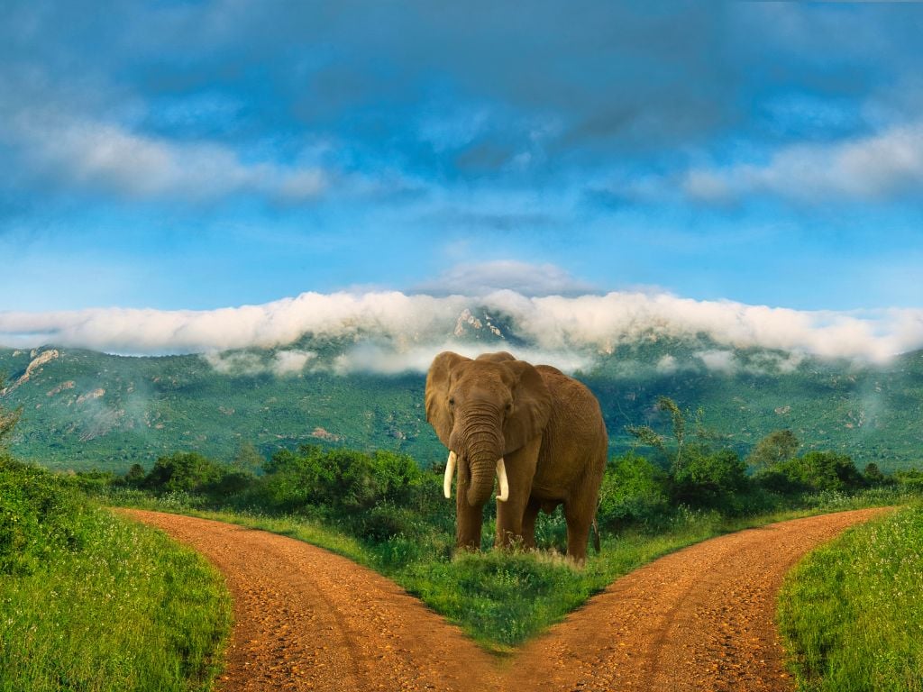 elephant in tsavo east national park kenya with mountains behind him and clouds