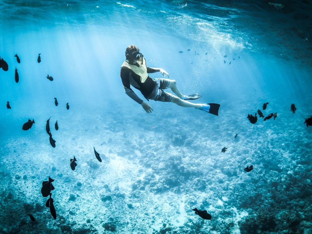 man free diving surrounded by fish