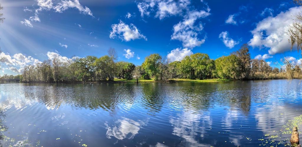 A Panoramic View of Lettuce Lake Park In Tampa Florida
