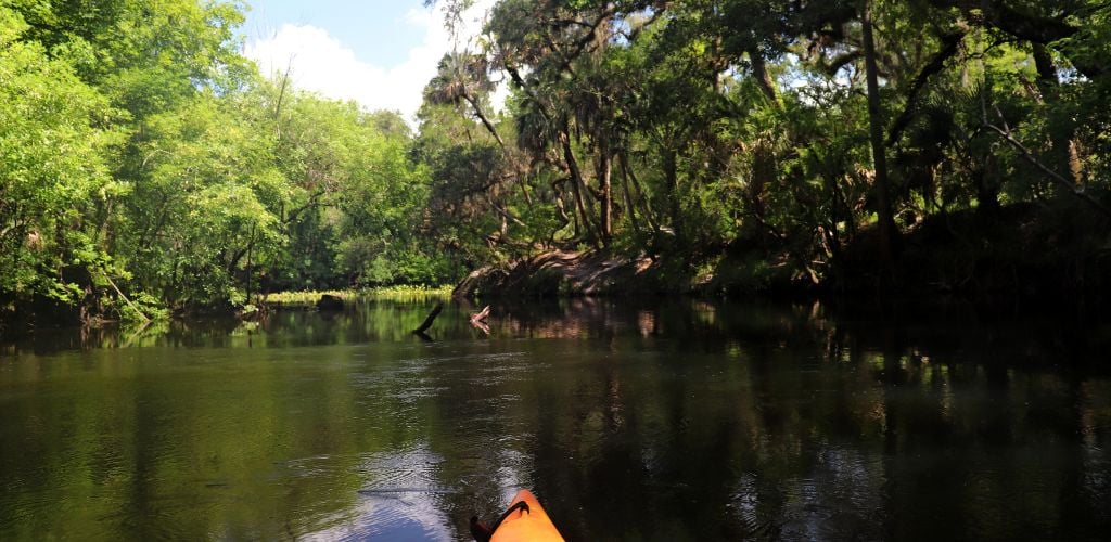 Kayaking in Hillsborough River State Park Florida