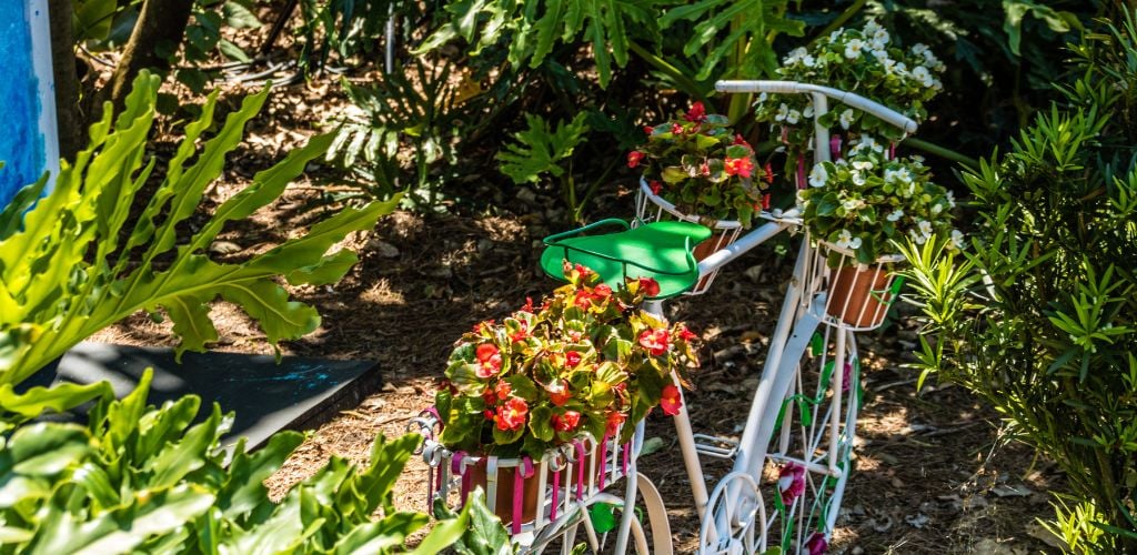 A Flower-covered Bicycle in Busch Gardens in Tampa Florida