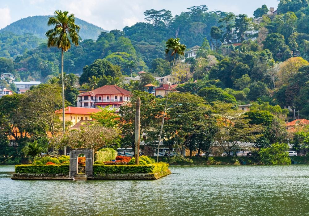 houses by the sea with jungle behind them in sri lanka