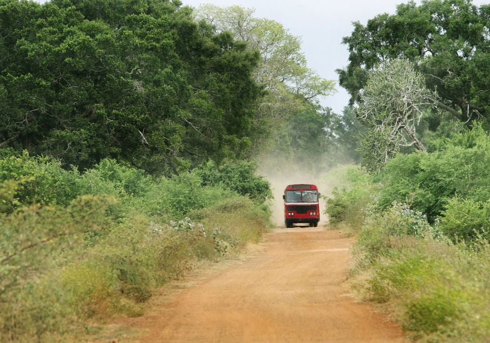 a bus driving down a dusty road surrounded by jungle in sri lanka